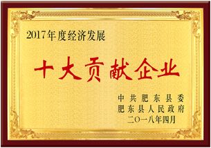 熱烈慶祝安徽皖信人力資源管理榮獲肥東縣經(jīng)濟發(fā)展大會雙項獎，樹立人力資源服務(wù)新標桿